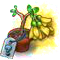 secretseedling24.png