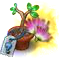 secretseedling48.png