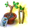 secretseedling52.png
