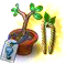 secretseedling52.png