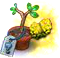 secretseedling62.png