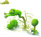 section_12_frog[1].png