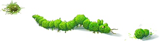 section_19_centipede[1].png