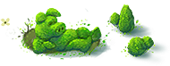 section_26_pig[1].png