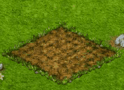 seedsearchaug2018thistlefungusseed.gif