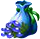 seedsearchaug2018waterberryseed.png
