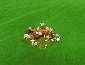 seedsearchfeb2020mushroom.gif