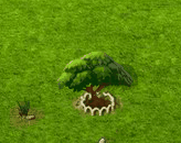 Seidenbaum XL.gif