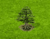 sequoia_upgrade_0.gif
