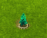 silverfir_upgrade_1.gif