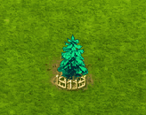 silverfir_upgrade_2.gif