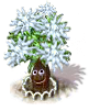 silvertree_upgrade_1.png