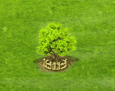 silverwattle_upgrade_2.gif