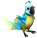 [​IMG]
