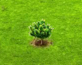 slashpine_upgrade_0.gif