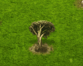 slopepointforest_upgrade_0.gif