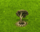slopepointforest_upgrade_1.gif