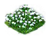 snowdrop_Icon.png