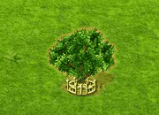soapberry_upgrade_2.gif