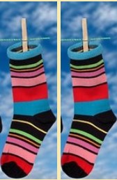 Socke2.jpg