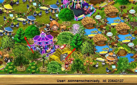 sonnenscheinlady Norfolktannen.jpg
