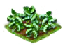 soyabean_Icon.png