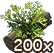 spawncharapr2020liche_200.png