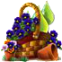 spawncharfeb2018basket3.png