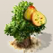 Speierling-Apfel.png