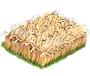 spelt_Icon.png