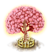 spinebrain_upgrade_2.png
