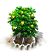 Stachelannonenbaum XL.png