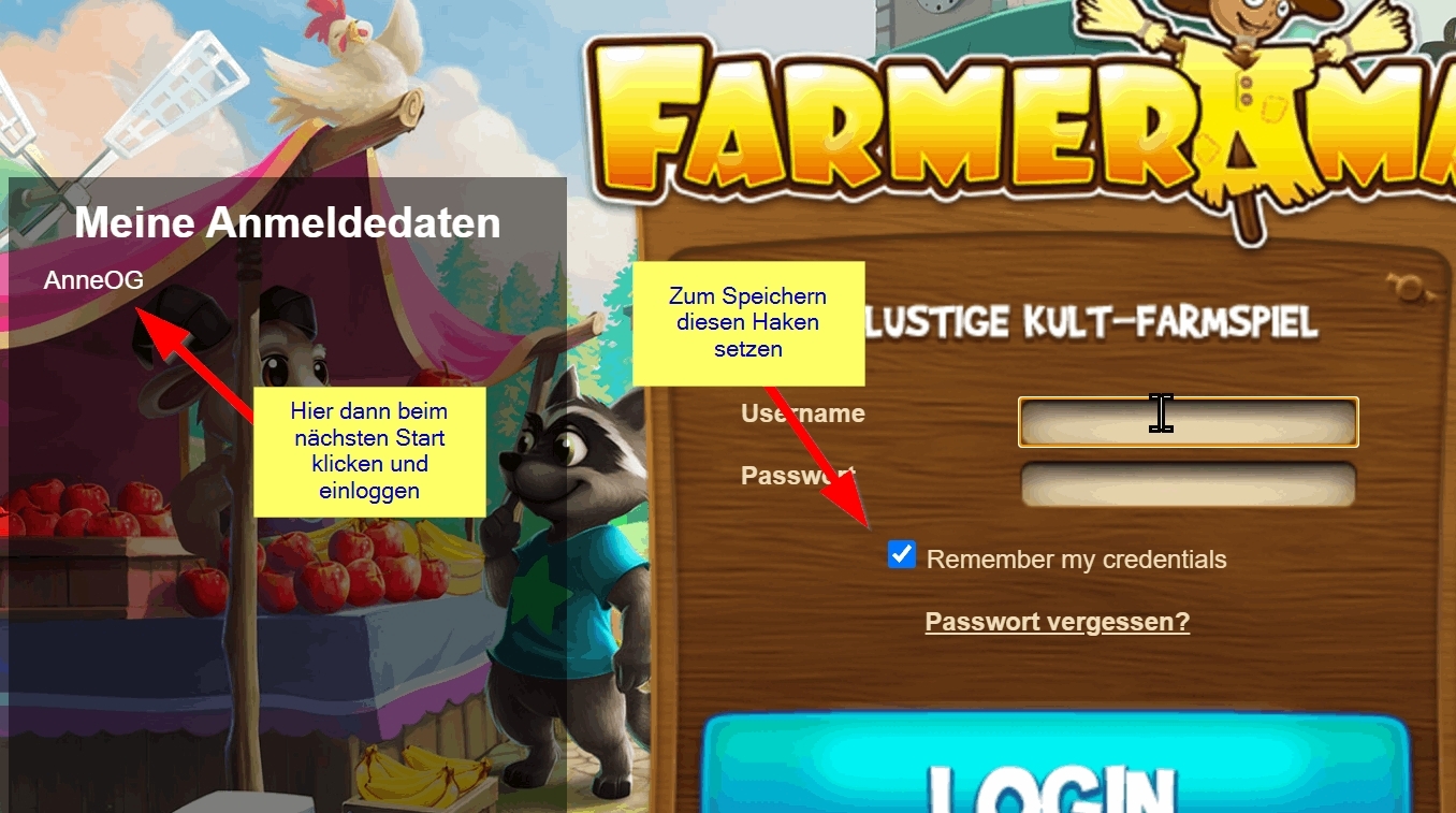 STAEinloggdatenspeichern.jpg