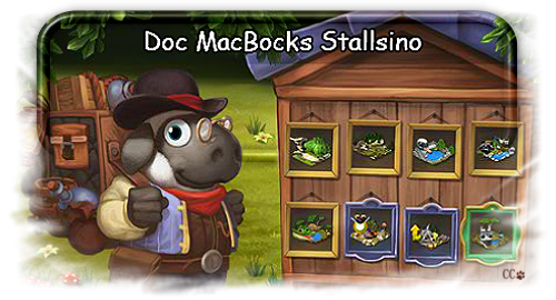 stallsino3 Banner.png