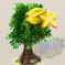 Sternfrucht.png