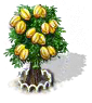 Sternfruchtbaum xl.png