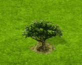 stonepinetree_upgrade_0.gif