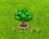 stranglerfig_upgrade_1.gif