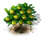sugarapple_upgrade_0_Icon.png