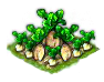 sugarbeet_Icon.png