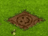 summerwkndqjul2019smileysunflower.gif