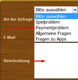 Support Art der Anfrage und Beschreibung.jpg