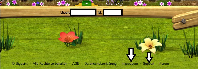 Support unterm Farmrahmen.jpg