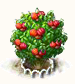 Surinamkirschbaum xl.png
