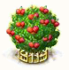 Surinamkirschbaum xxl.png