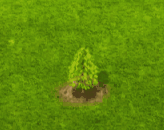 swampcypress_upgrade_0.gif