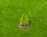 swampcypress_upgrade_1.gif