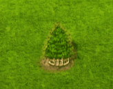 swampcypress_upgrade_2.gif