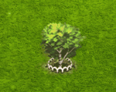 sweetbirch_upgrade_1.gif