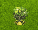 sweetbirch_upgrade_2.gif